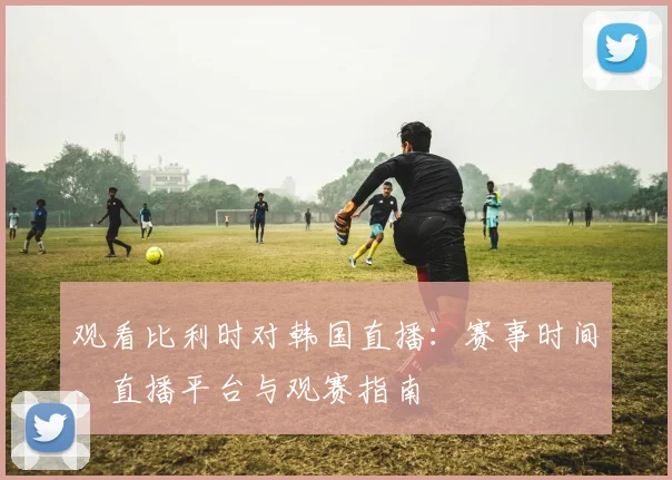 观看比利时对韩国直播：赛事时间、直播平台与观赛指南