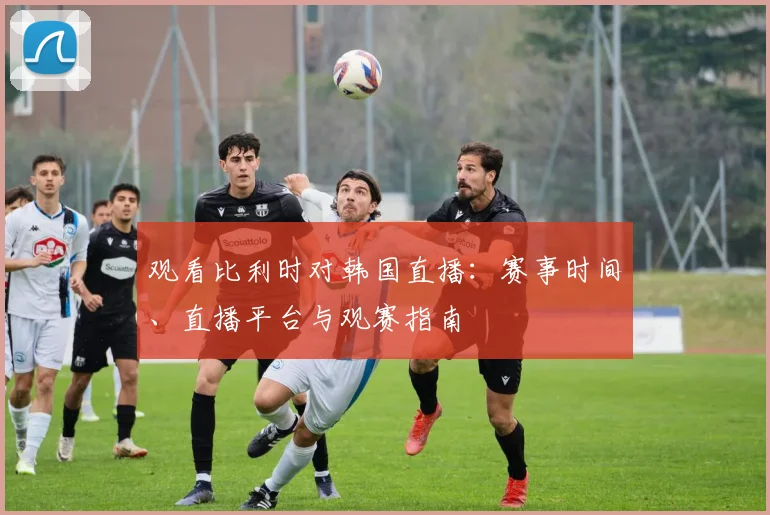观看比利时对韩国直播：赛事时间、直播平台与观赛指南